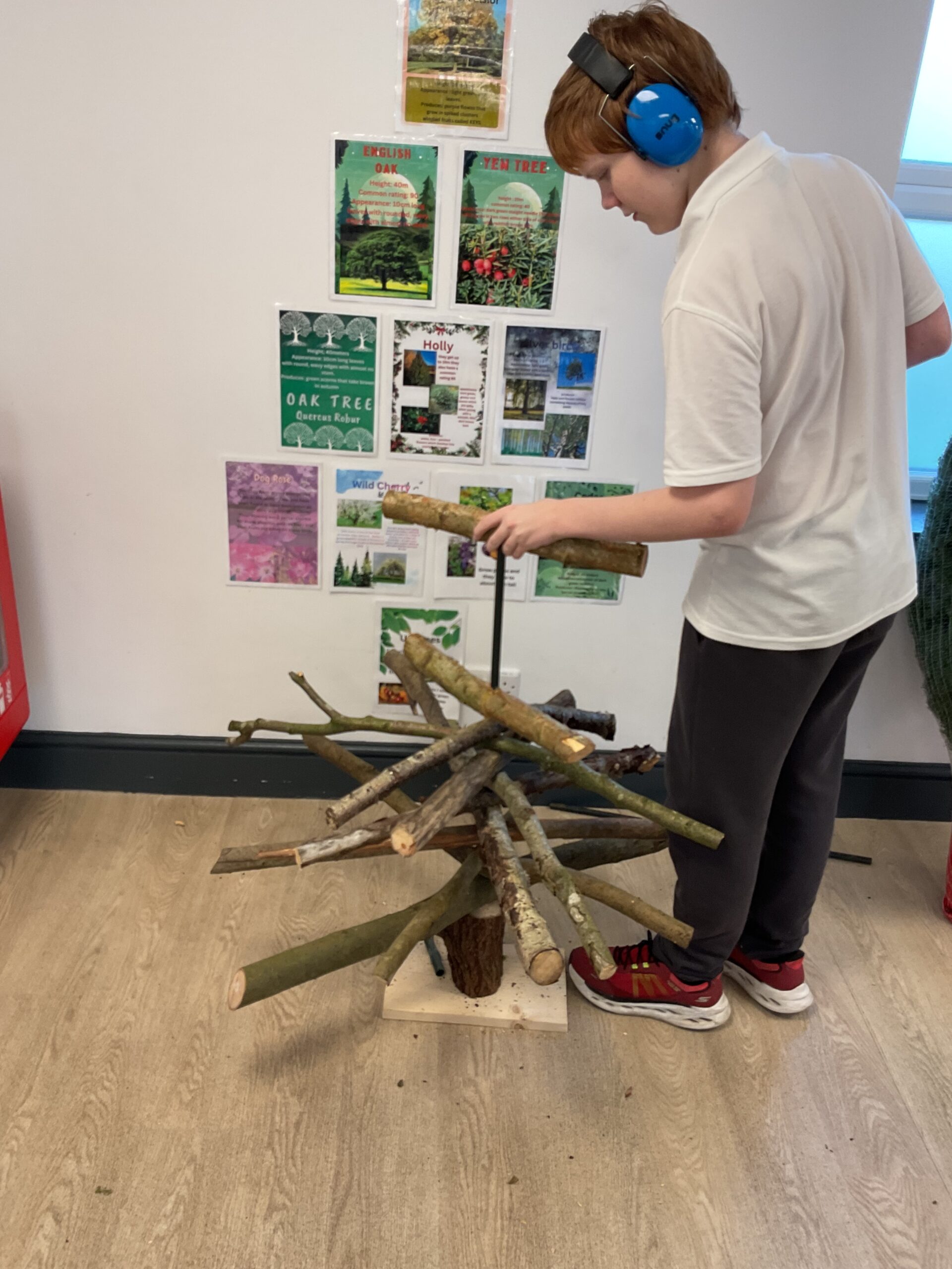 Hands-on outdoor learning in action as Allerthorpe School celebrates National Tree Week on 23 November.