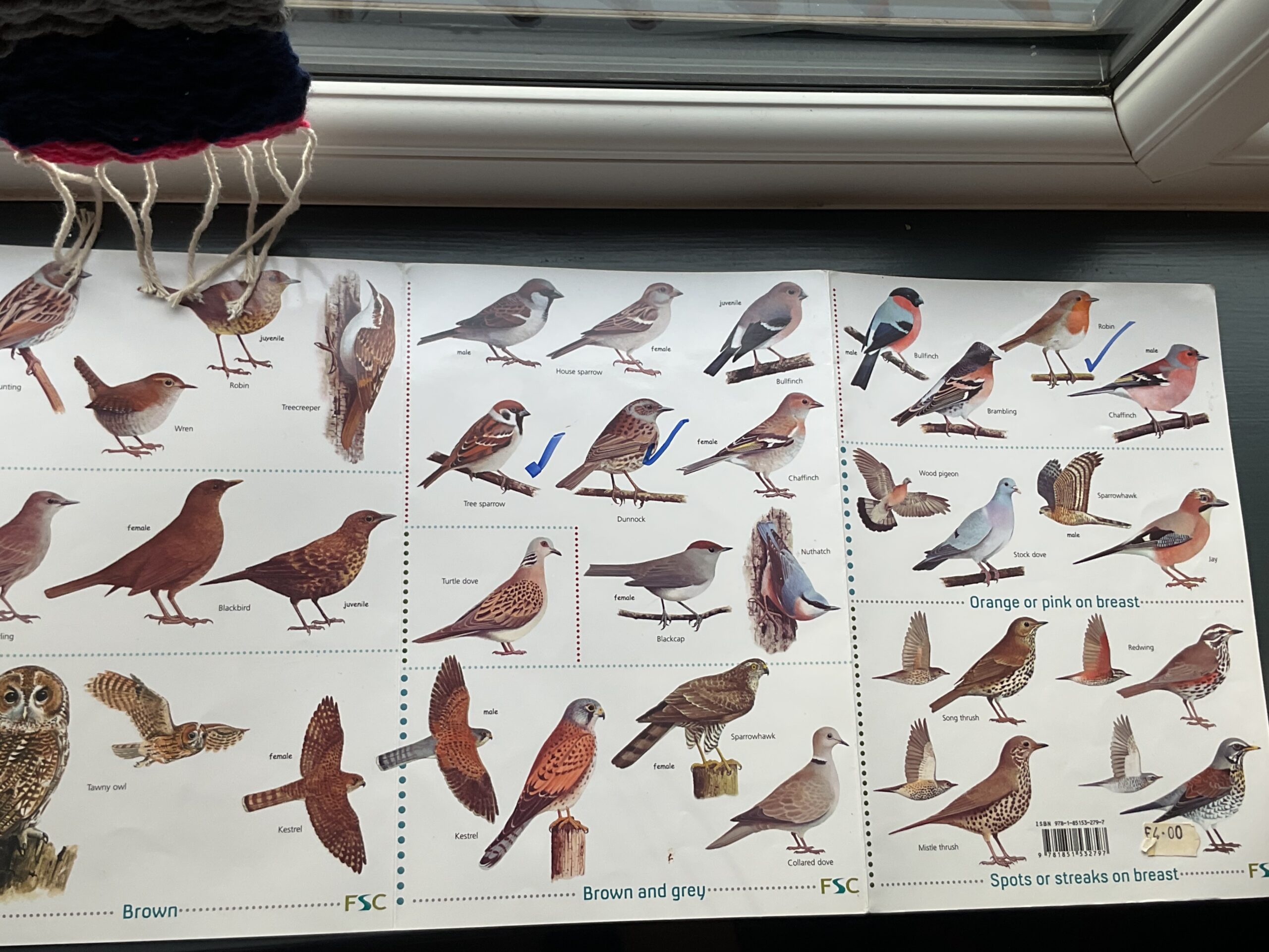 Inclusive outdoor education in action as Allerthorpe School participates in the National Bird Count initiative.